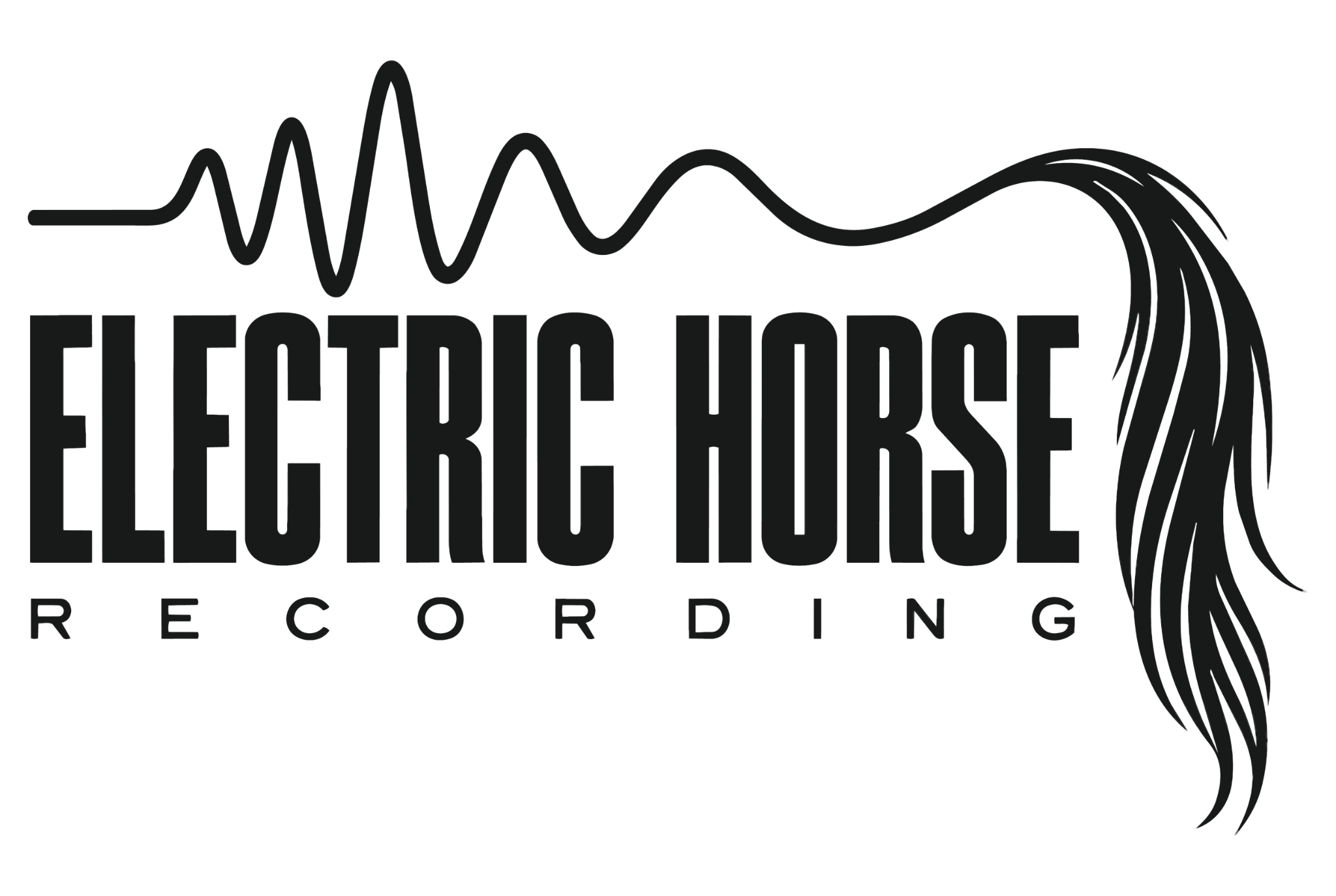 Electric Horse Recording