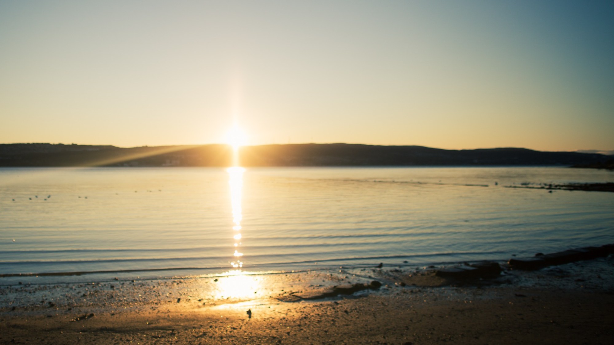 Sunlight falling across a quiet shoreline
